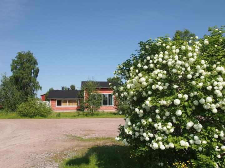 Ala-Temmes B&B Villa Helmi المظهر الخارجي الصورة